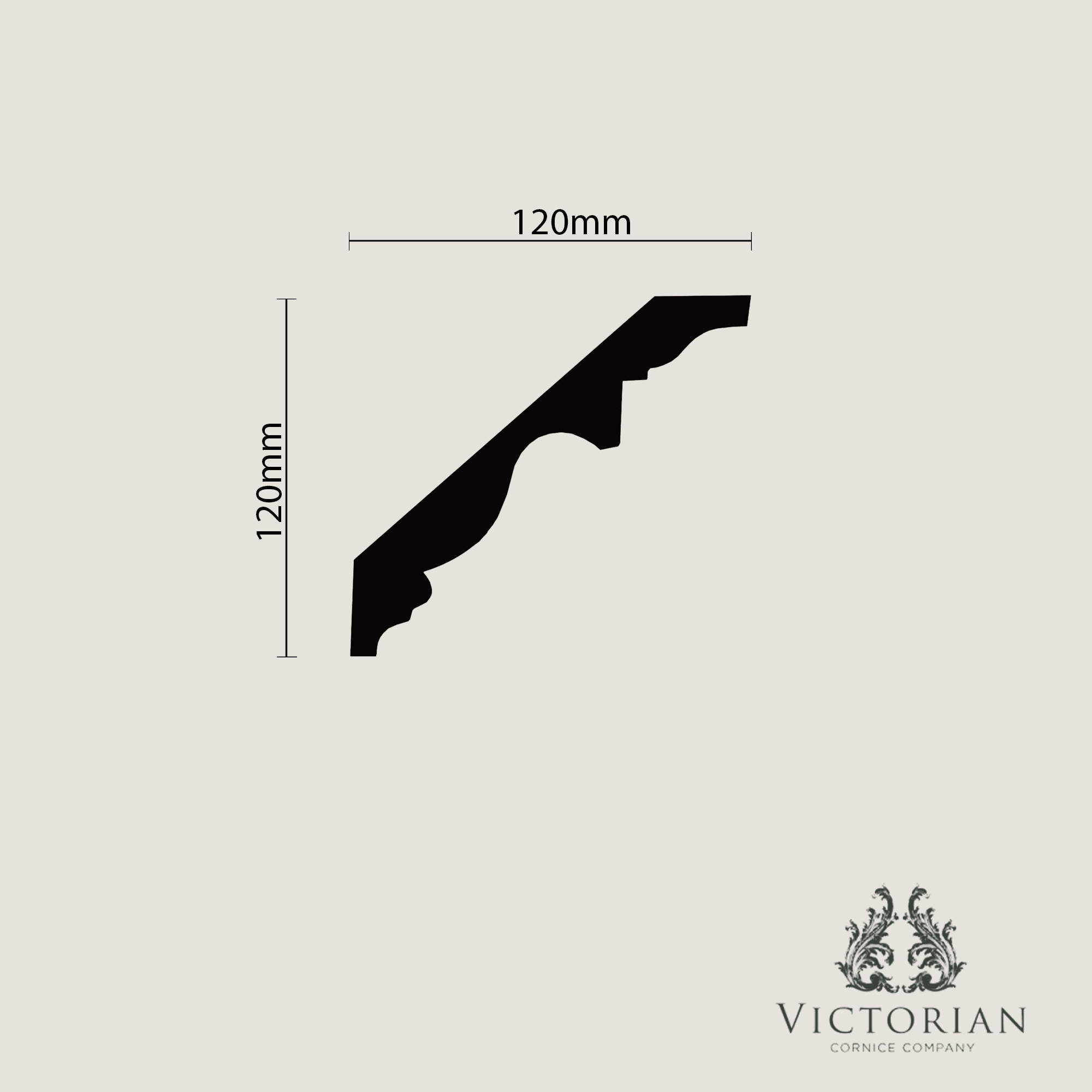 C67 Renaissance plaster cornice x-section profile showing stepped traditional design with soft curved detailing