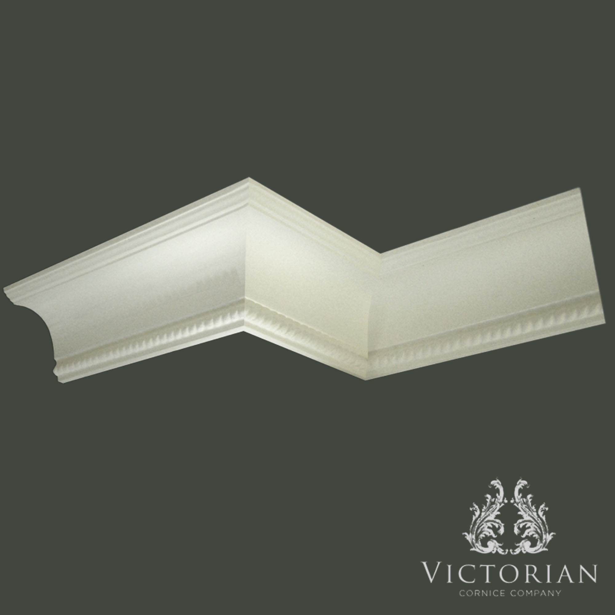 C38 plaster cornice with smooth cavetto curve and subtle rope detailing along the lower edge