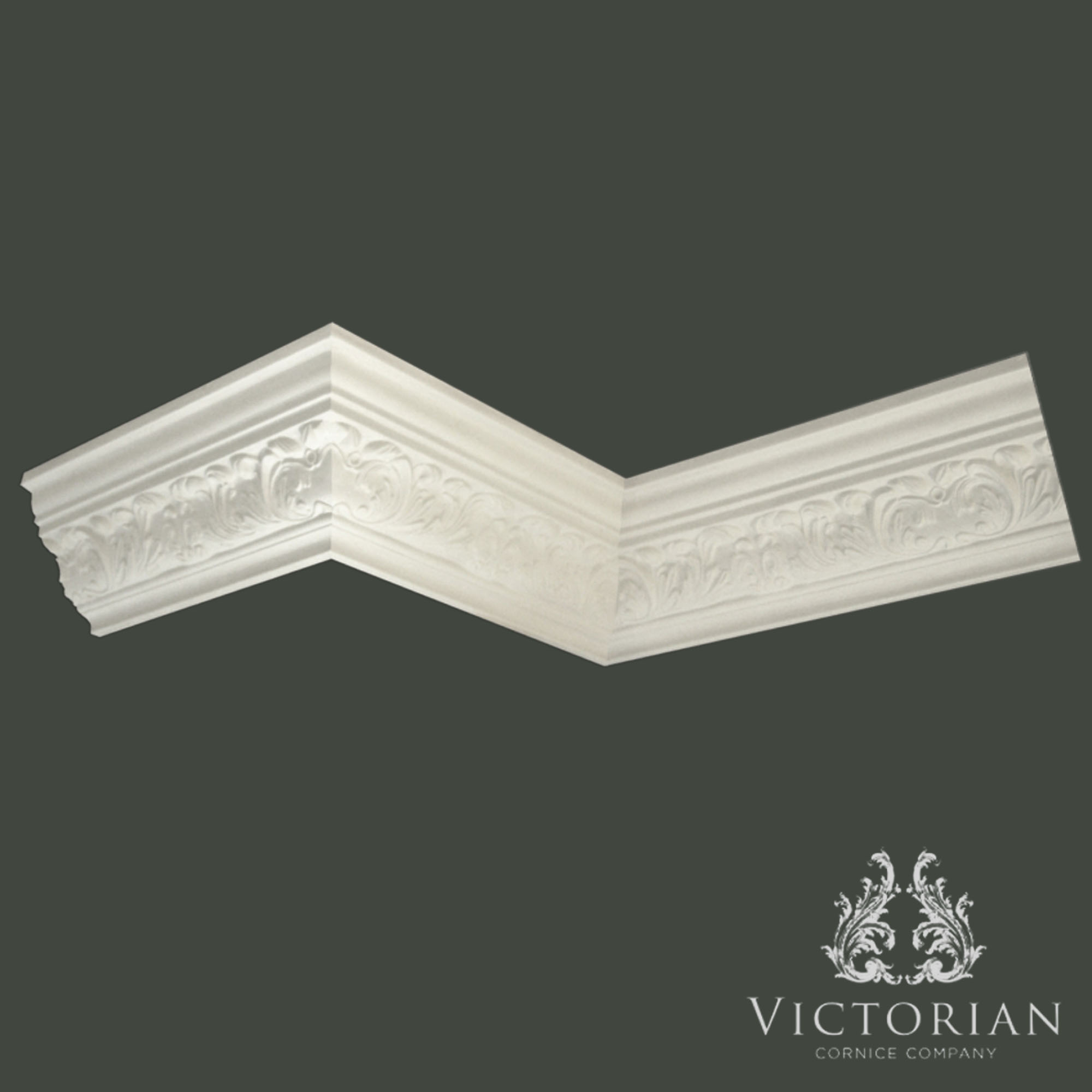 C39 plaster cornice with decorative acanthus leaf pattern and traditional stepped profile
