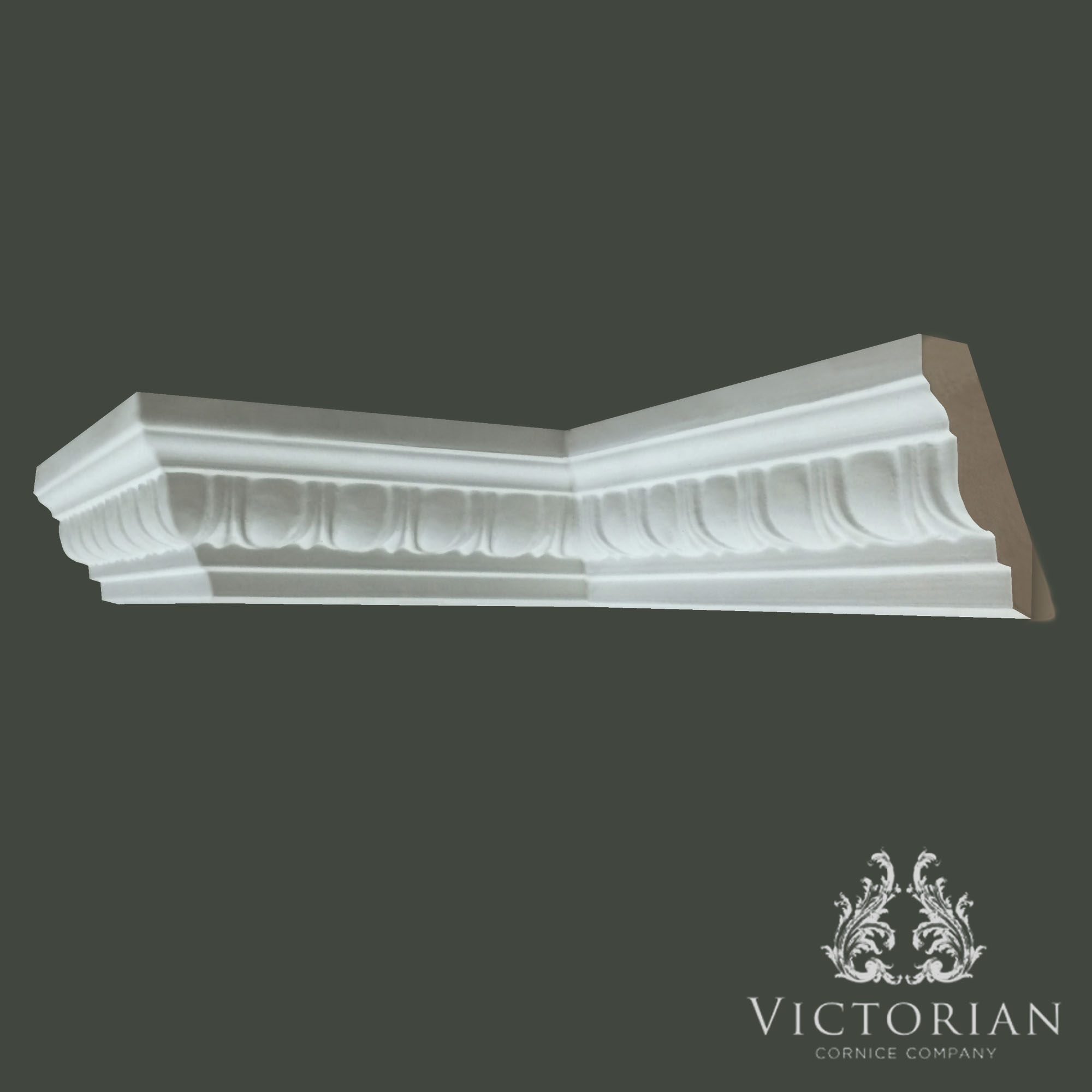 Traditional egg and dart plaster cornice with decorative classical enrichment handmade in Birmingham