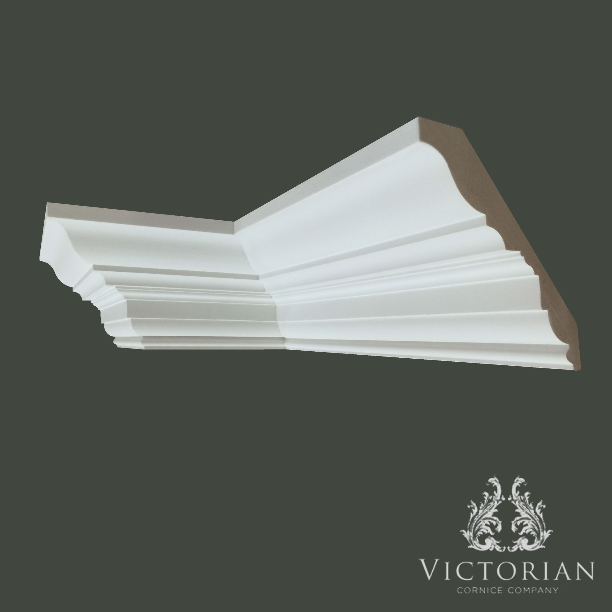 C64 Georgian plaster cornice with bold stepped profile and smooth sweeping upper curve